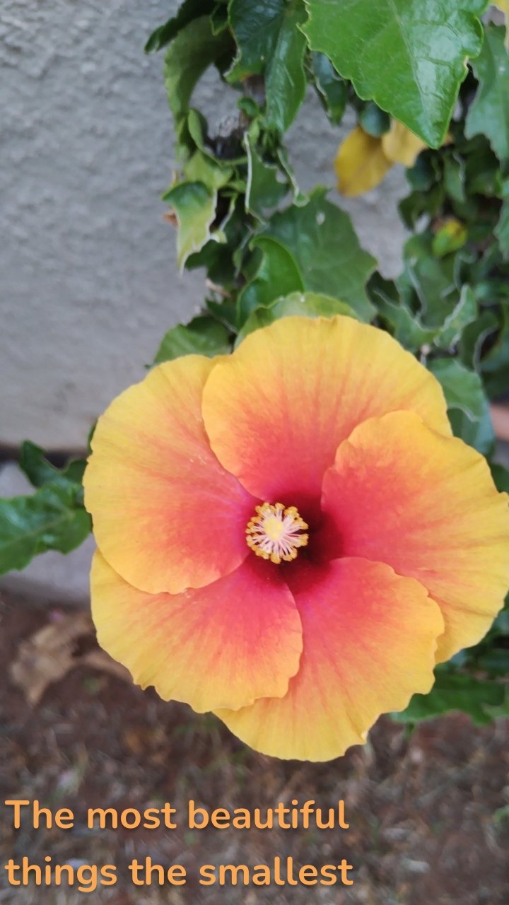 The most beautiful things the smallest